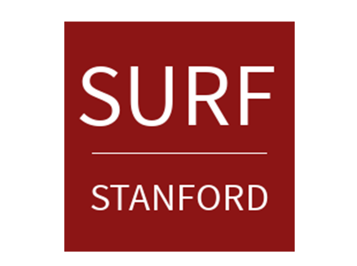 					View Vol. 12 No. 1 (2020): The Stanford US-Russia Journal
				